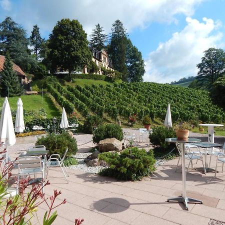 Wein Lodge Durbach - Gruppenhaus Weingut Neveu Ngoại thất bức ảnh