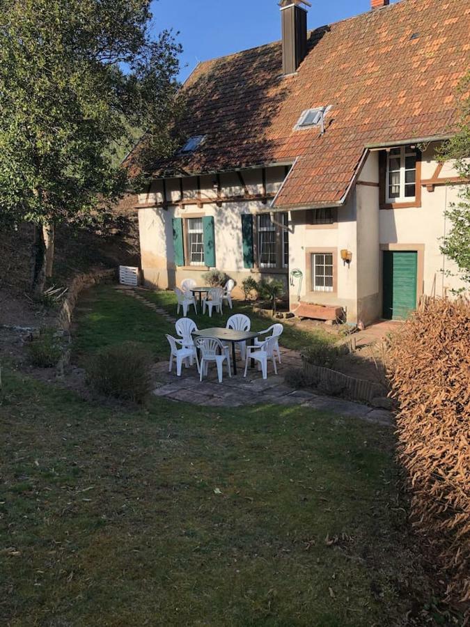 Wein Lodge Durbach - Gruppenhaus Weingut Neveu Ngoại thất bức ảnh
